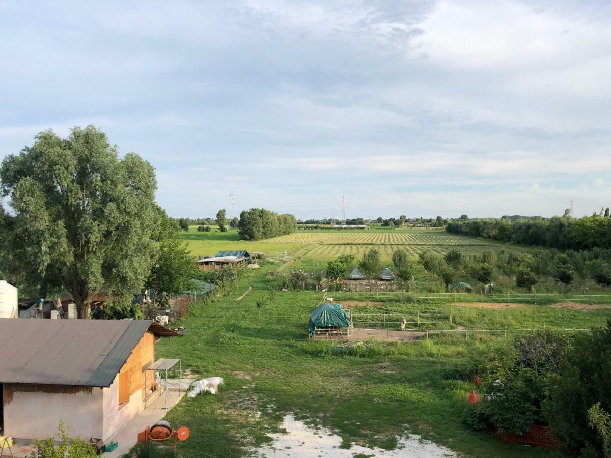 Pecore Ribelli Mira Buitenkant foto