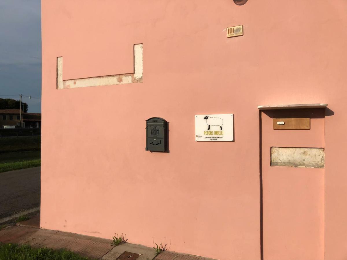 Pecore Ribelli Mira Buitenkant foto
