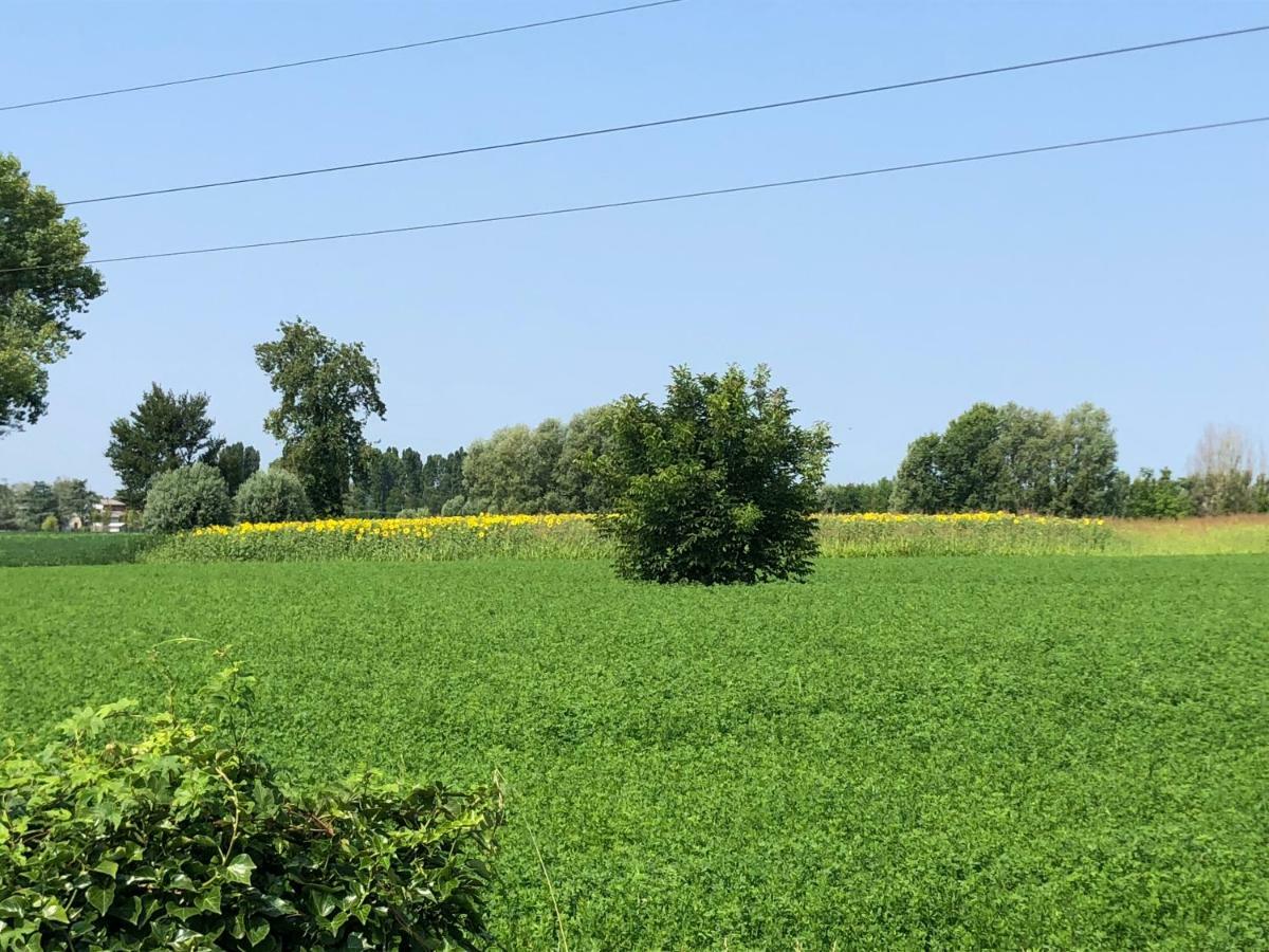 Pecore Ribelli Mira Buitenkant foto