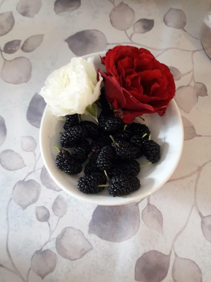 Pecore Ribelli Mira Buitenkant foto